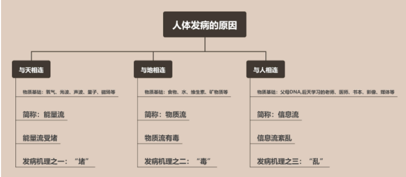 壮医药癌症治疗研究获得重大进展 最新动态 第6张