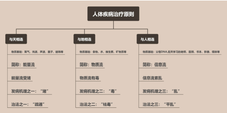 壮医药癌症治疗研究获得重大进展 最新动态 第7张