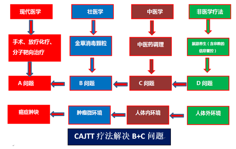 壮医药癌症治疗研究获得重大进展 最新动态 第11张